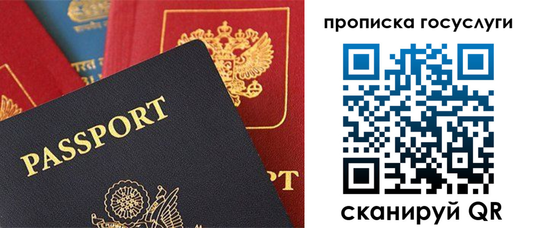 где прописаться в Александровске-Сахалинском